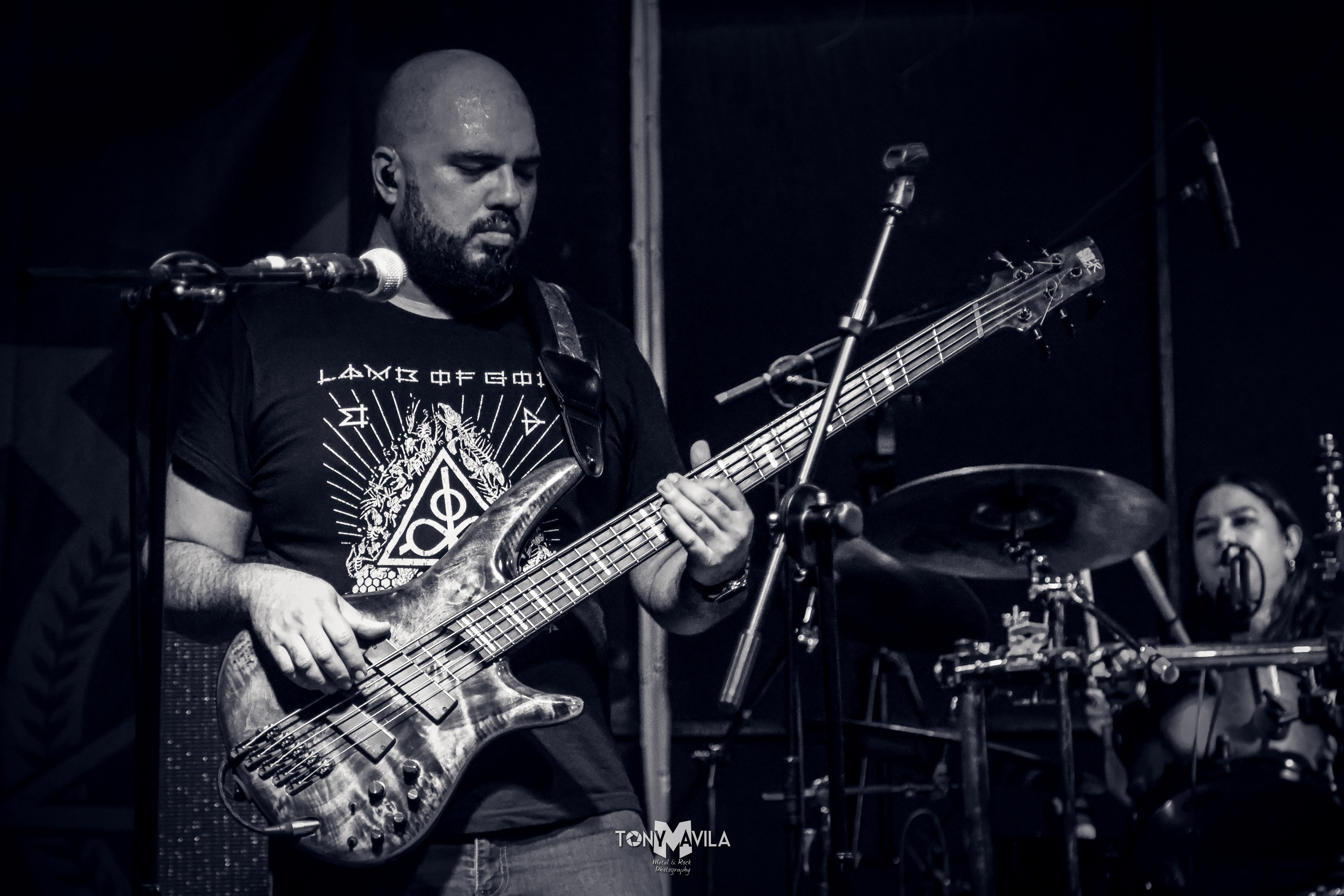 Vendetta live