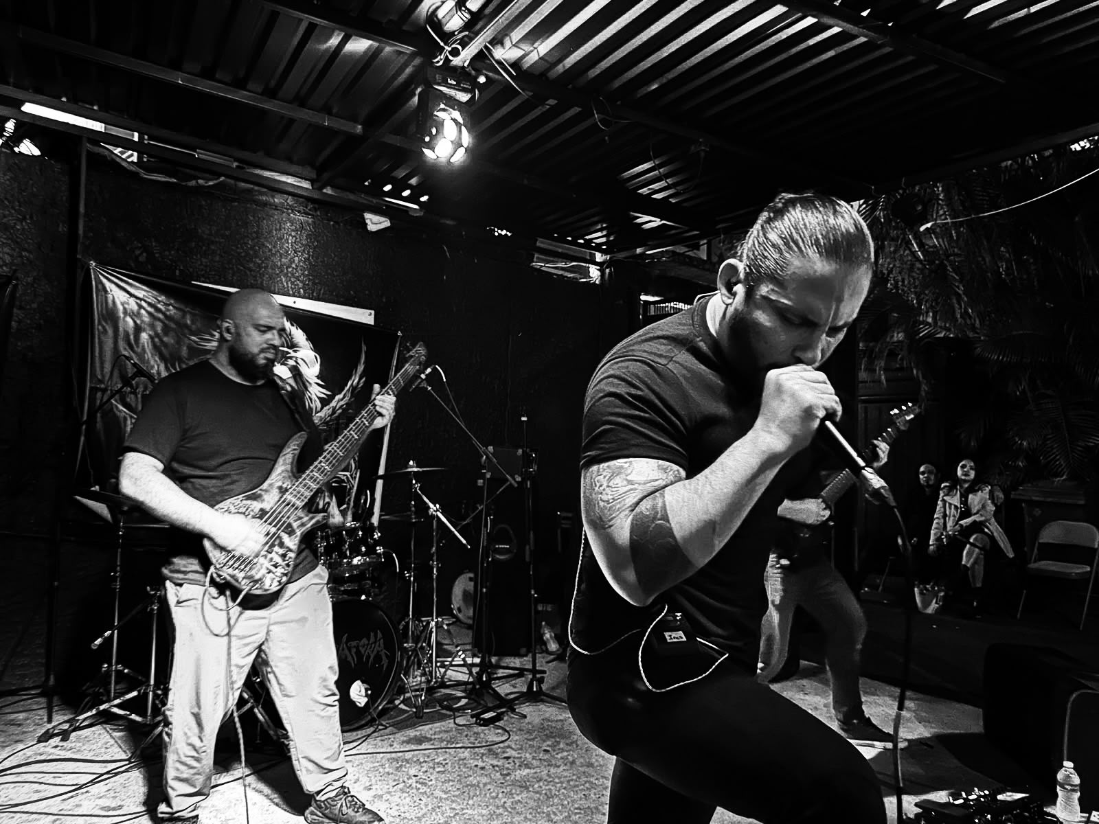 Vendetta live